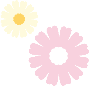 周末安排上！2条“金泽精品旅游线路”新鲜出炉→