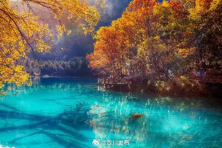 提醒！九寨沟这些景点暂时关闭→