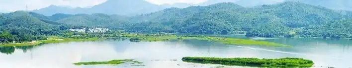 从山水串联到心灵栖息惠州民宿催生文旅新图景