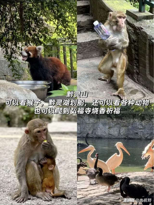 贵阳初冬极限一日游攻略，打卡6大经典景点！