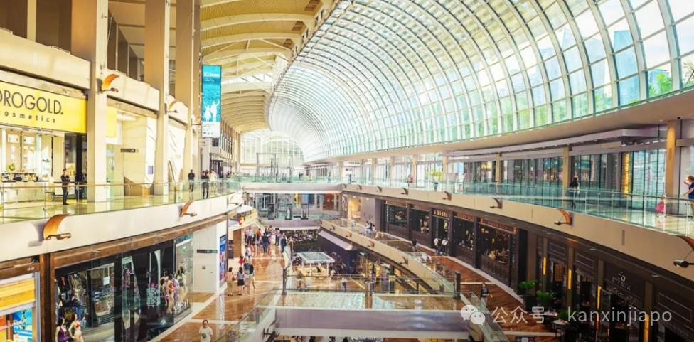 带父母来新加坡旅游，这样玩一天都不累