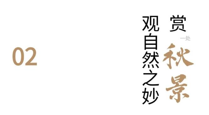 龙门石窟最好逛的季节开始了！