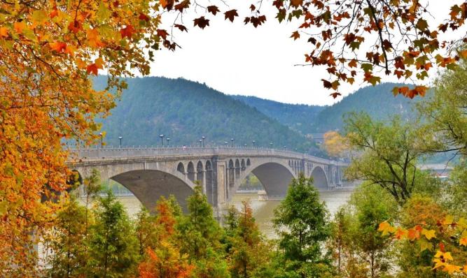 龙门石窟最好逛的季节开始了！
