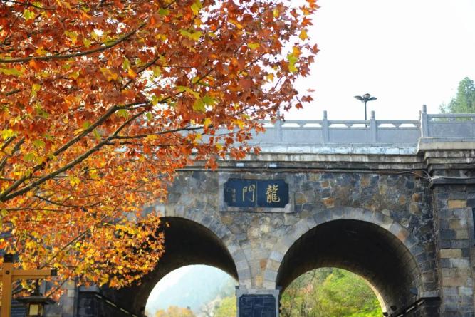 龙门石窟最好逛的季节开始了！