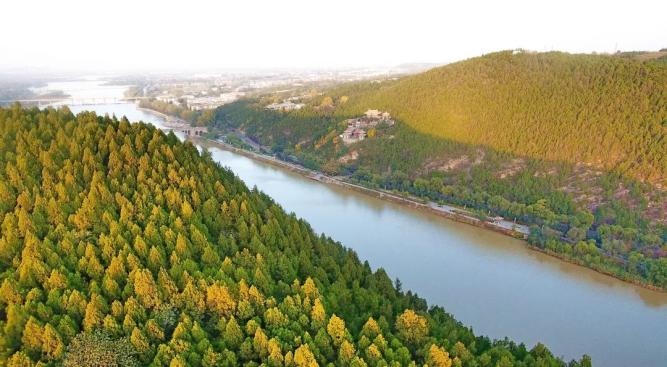 龙门石窟最好逛的季节开始了！