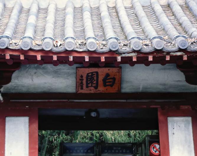 龙门石窟最好逛的季节开始了！