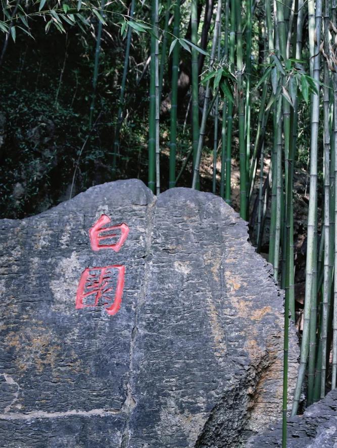 龙门石窟最好逛的季节开始了！