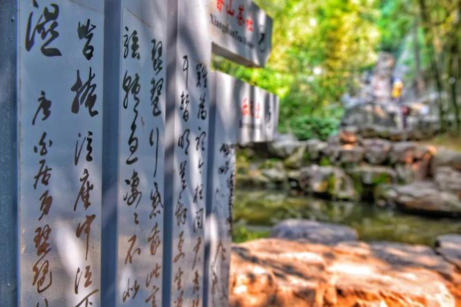 龙门石窟最好逛的季节开始了！