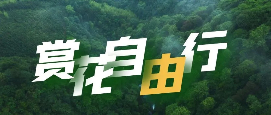 金山田野百花节进行时，想要自由行的小伙伴，请收下这份攻略！