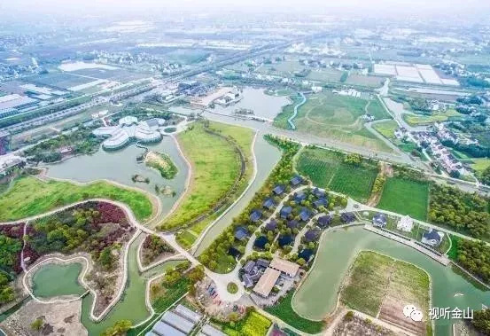 金山田野百花节进行时，想要自由行的小伙伴，请收下这份攻略！