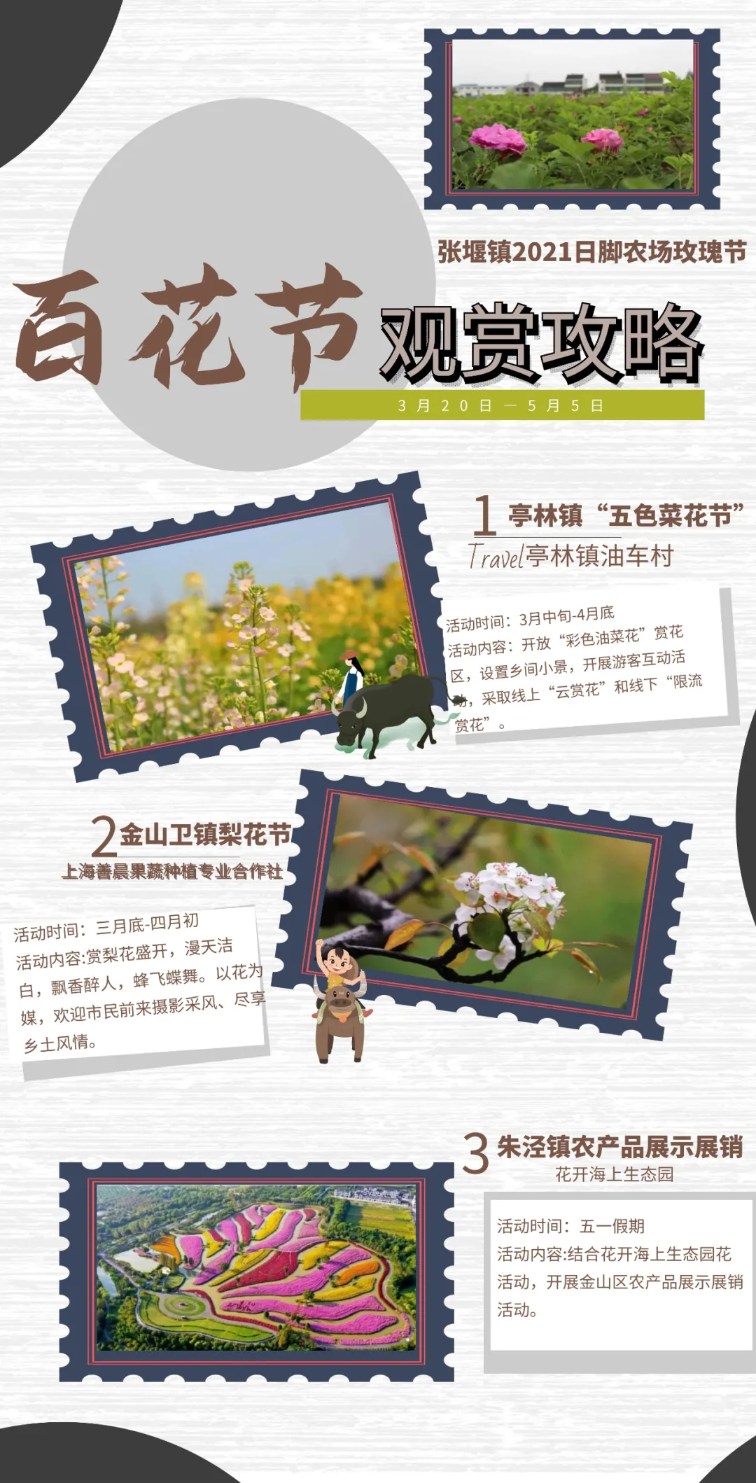 金山田野百花节进行时，想要自由行的小伙伴，请收下这份攻略！