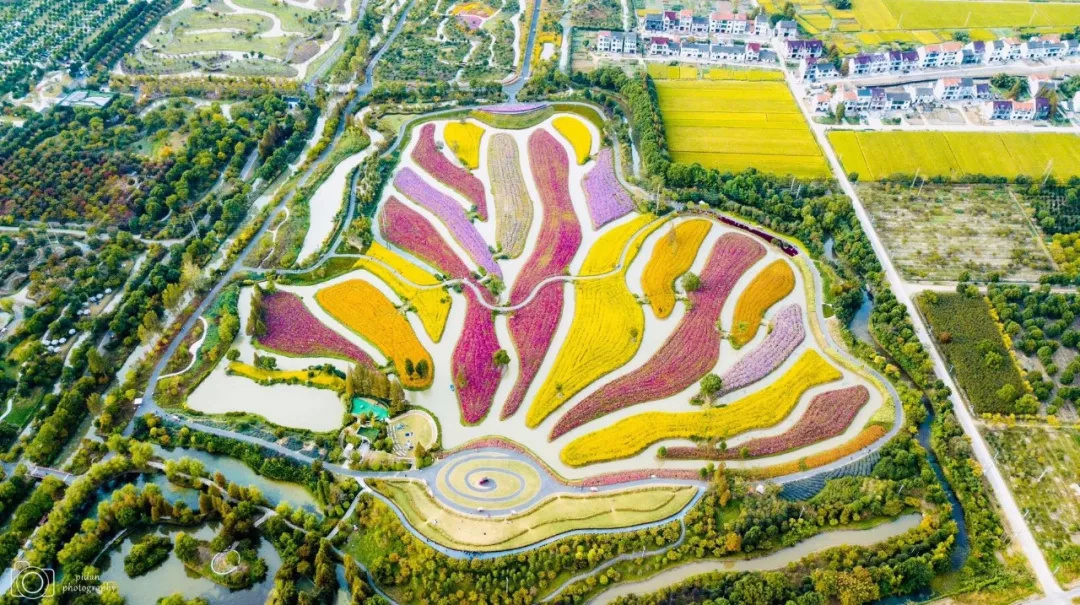 金山田野百花节进行时，想要自由行的小伙伴，请收下这份攻略！