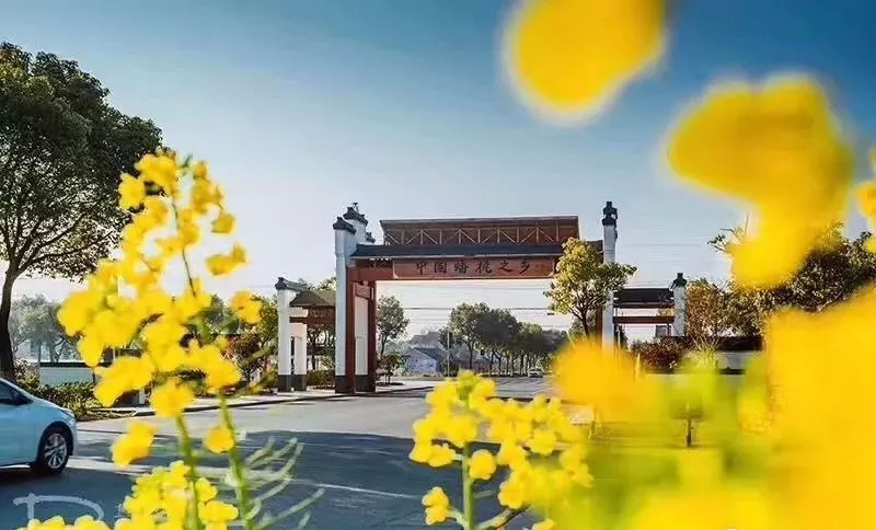 金山田野百花节进行时，想要自由行的小伙伴，请收下这份攻略！