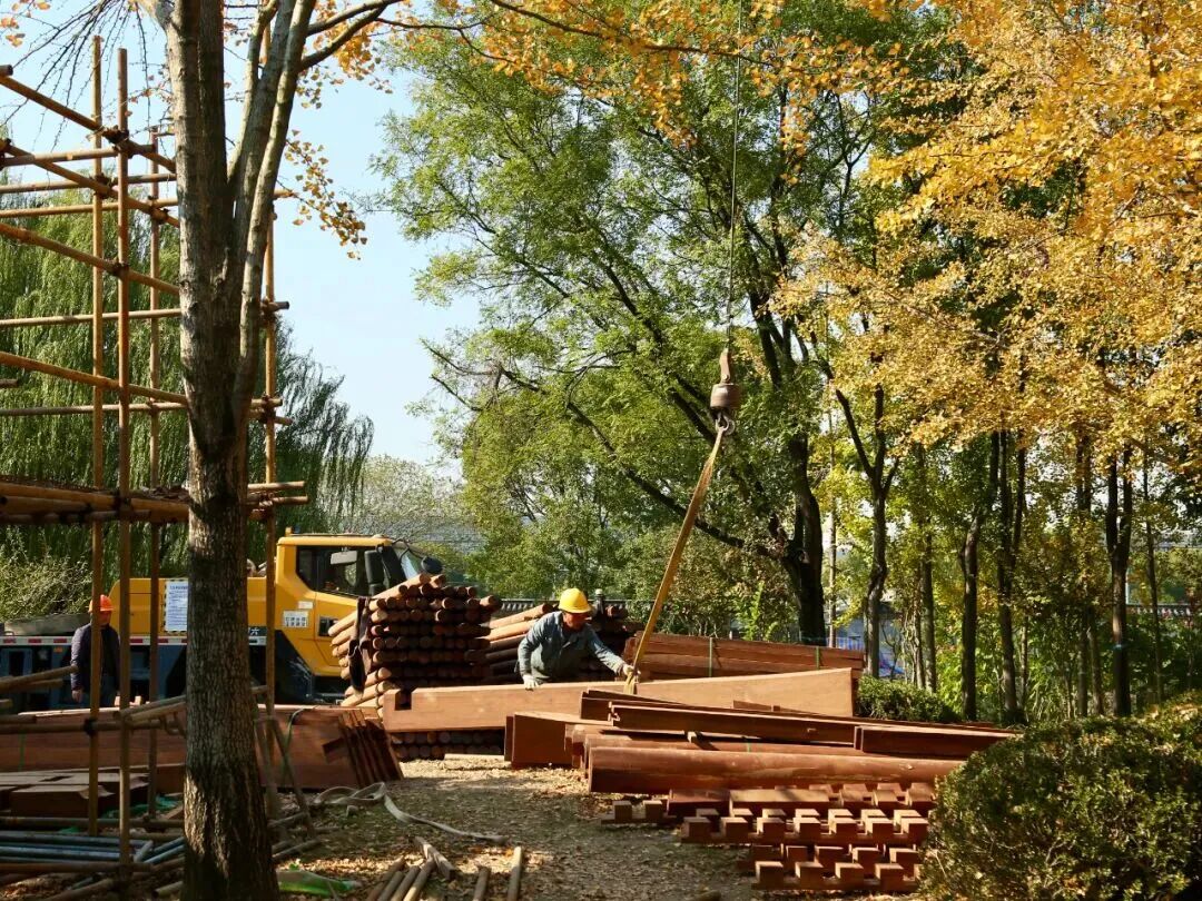 “上海0001号”所在古树公园改造中，将打造8大主题景点