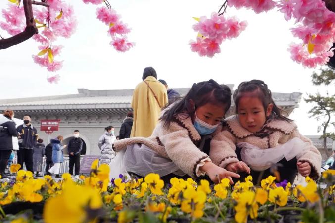 八种色彩，领略龙门石窟全年之美！