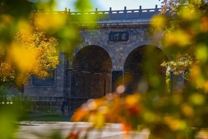 八种色彩，领略龙门石窟全年之美！