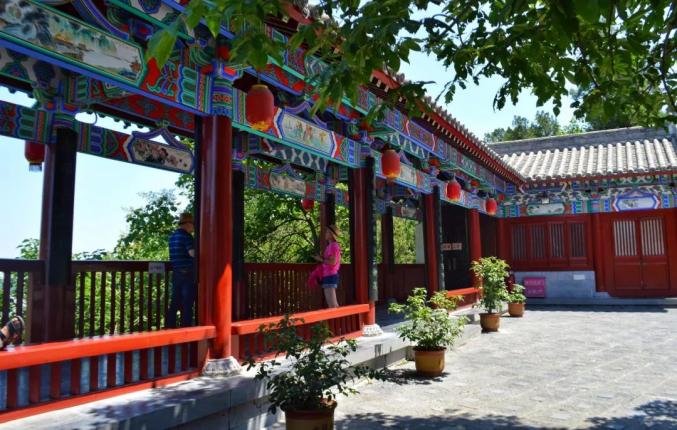 八种色彩，领略龙门石窟全年之美！