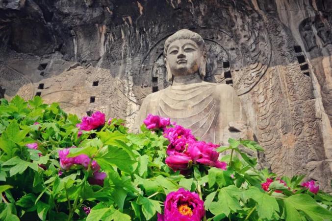 八种色彩，领略龙门石窟全年之美！