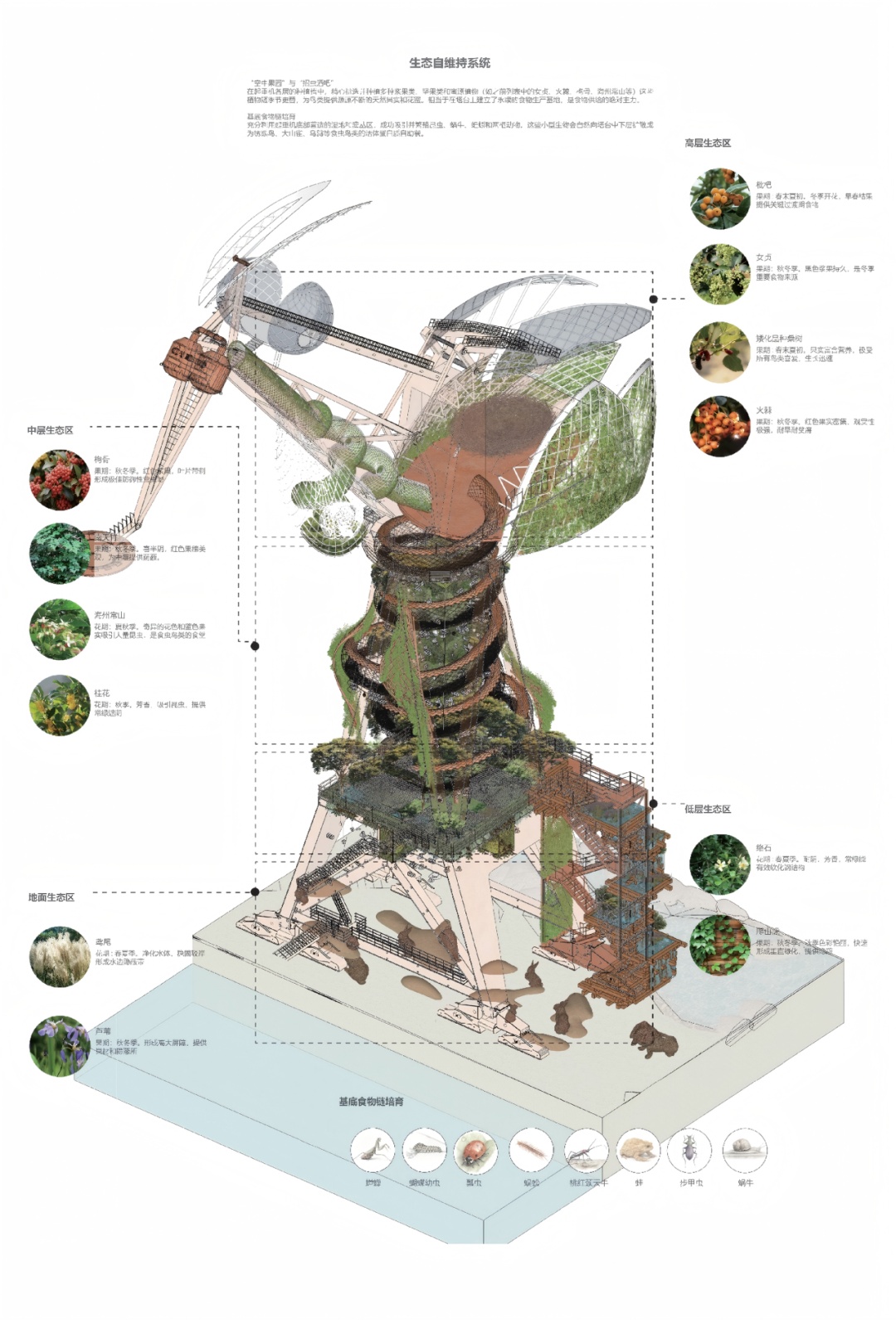 周末来复兴岛，做休闲“岛民”