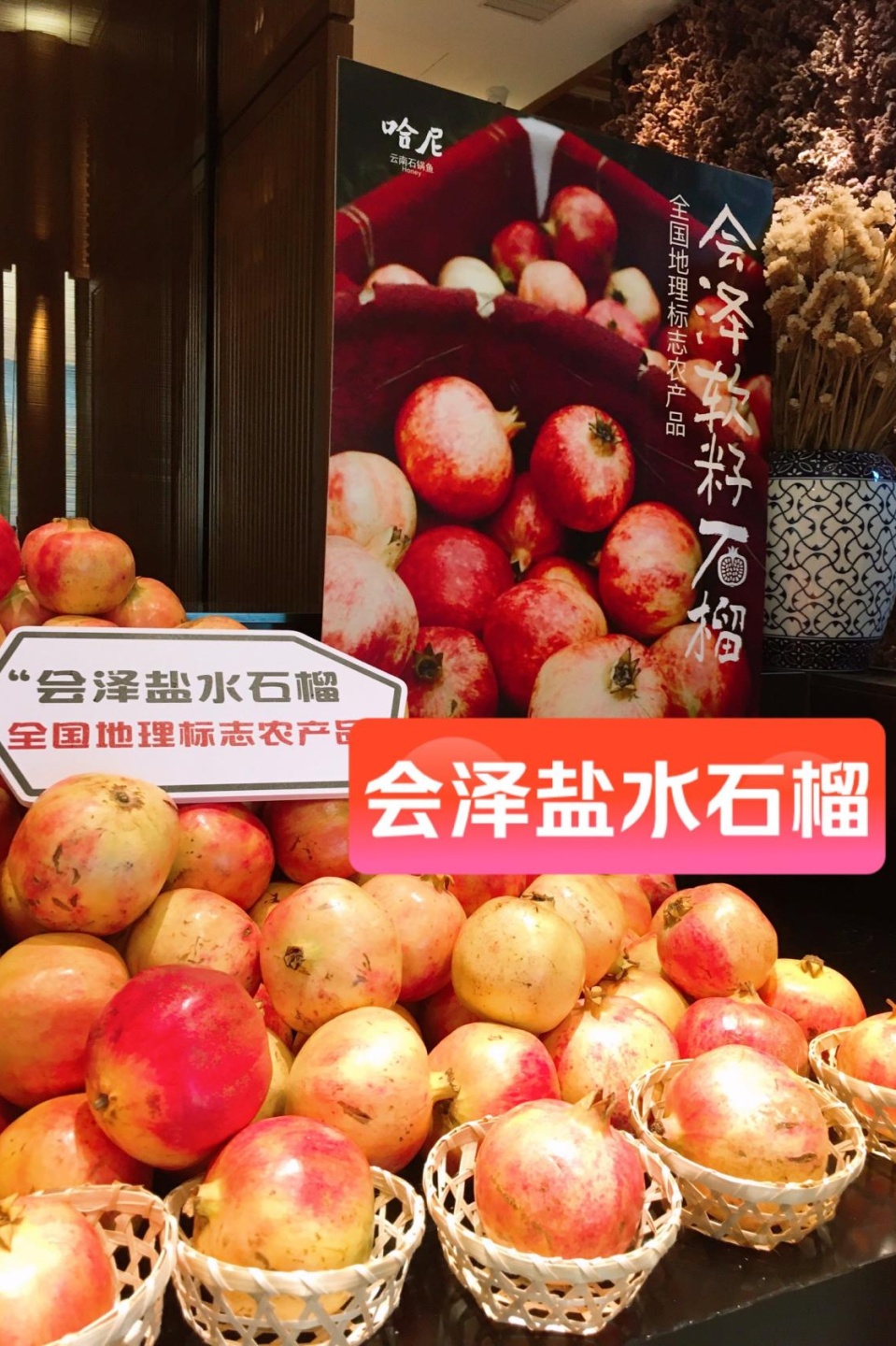 周末来复兴岛，做休闲“岛民”