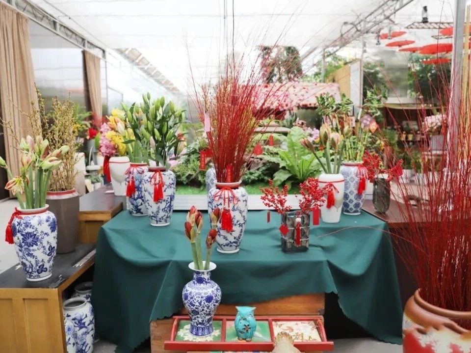 周末来复兴岛，做休闲“岛民”