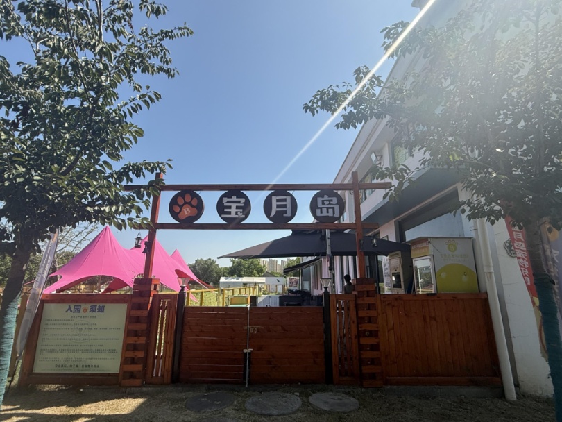 周末来复兴岛，做休闲“岛民”