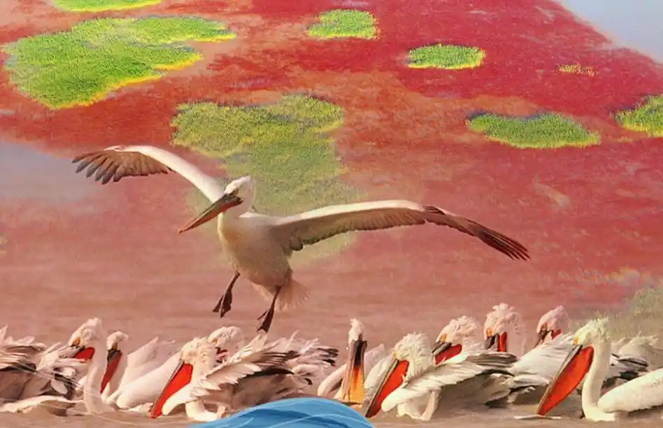 山东热榜｜山东5A景区将达14家，快来打卡