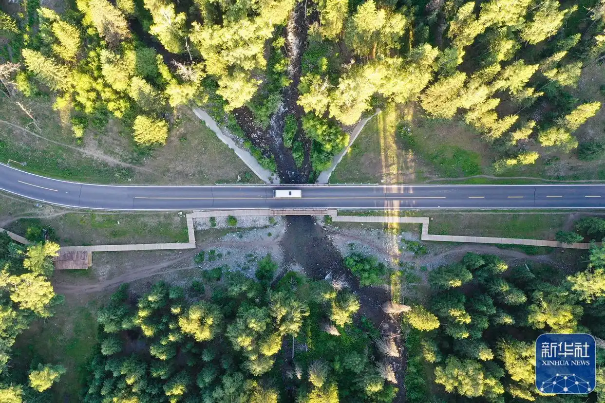 新疆喀纳斯景区进入旅游黄金期