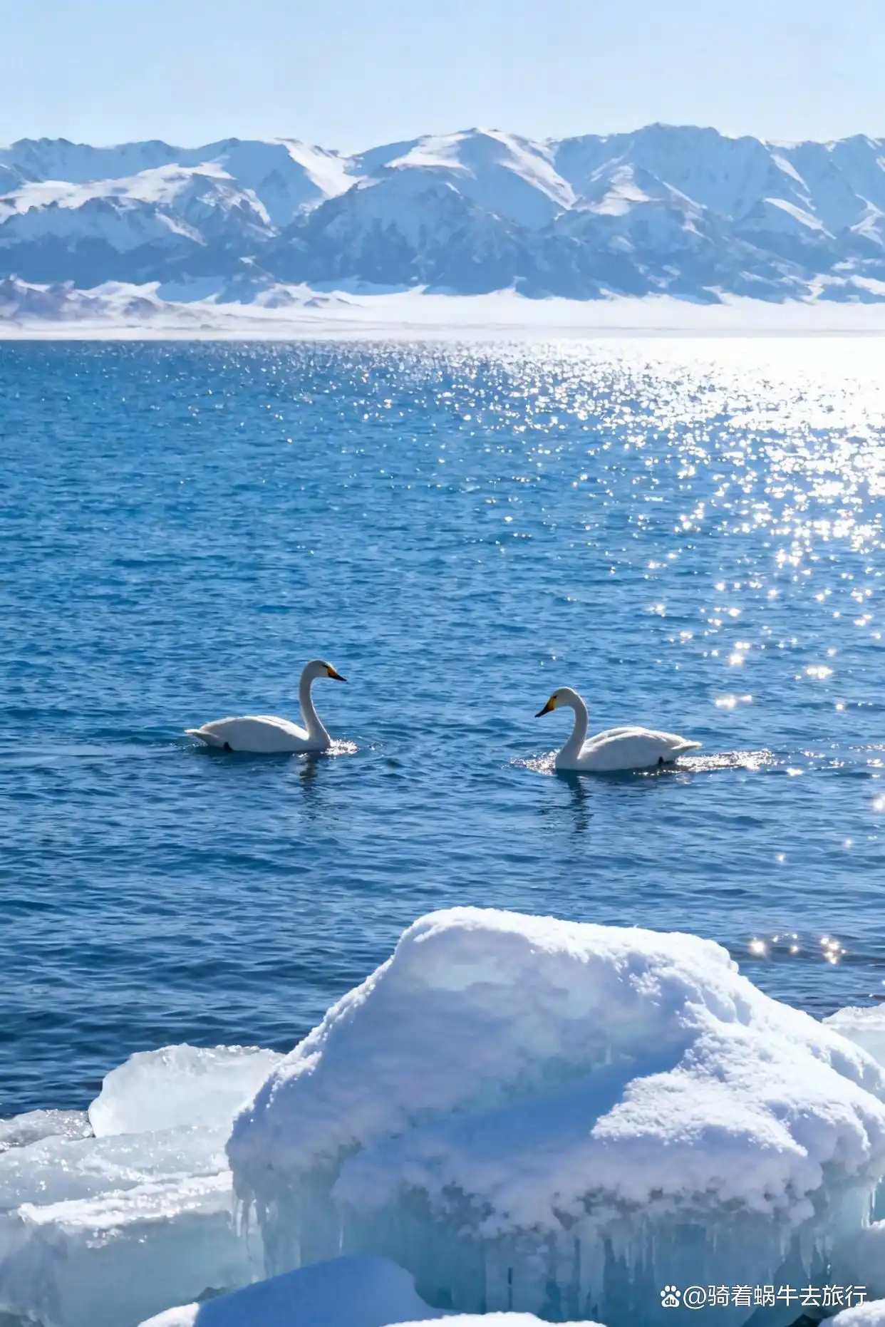 冬天的赛里木湖直接封神！