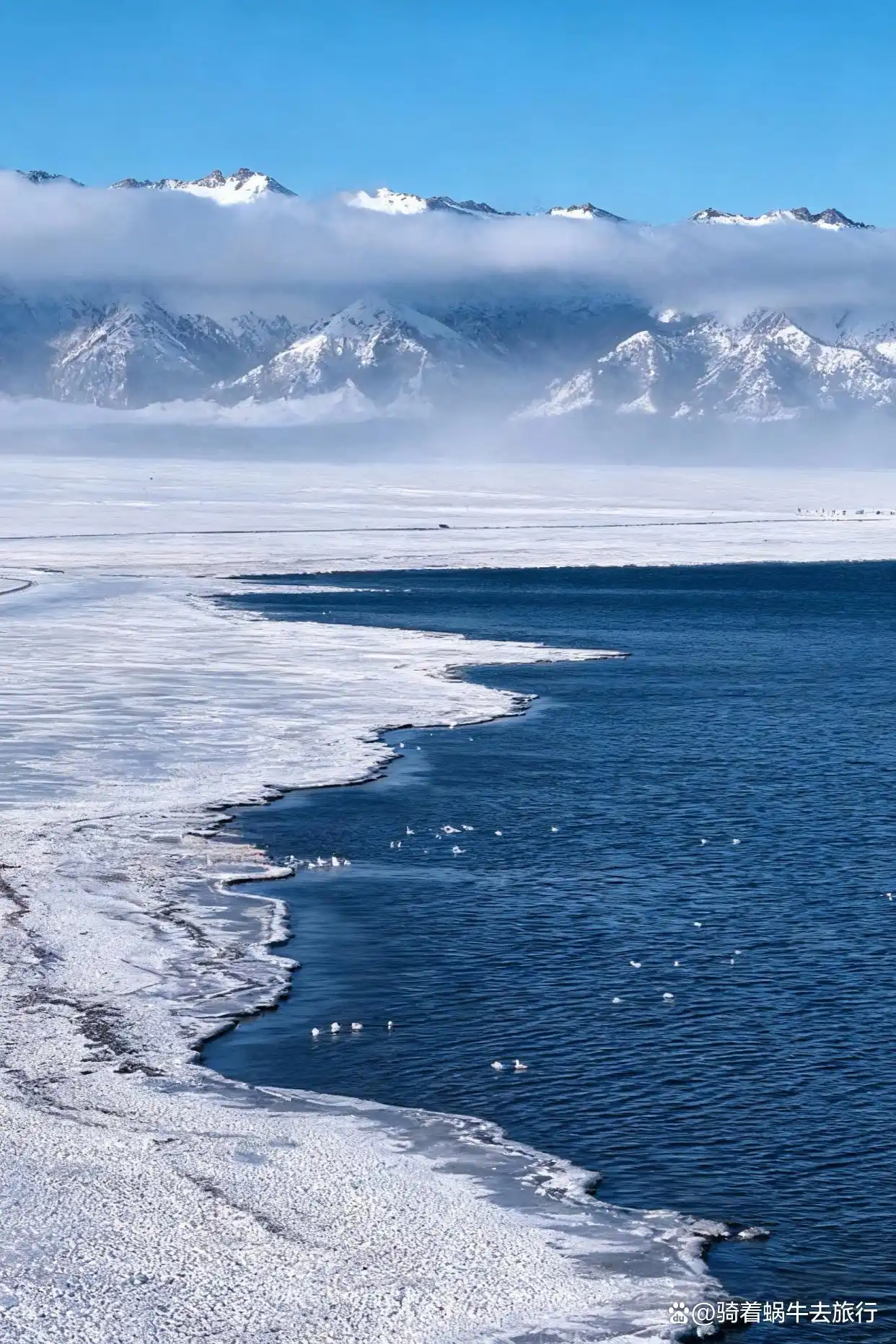 冬天的赛里木湖直接封神！