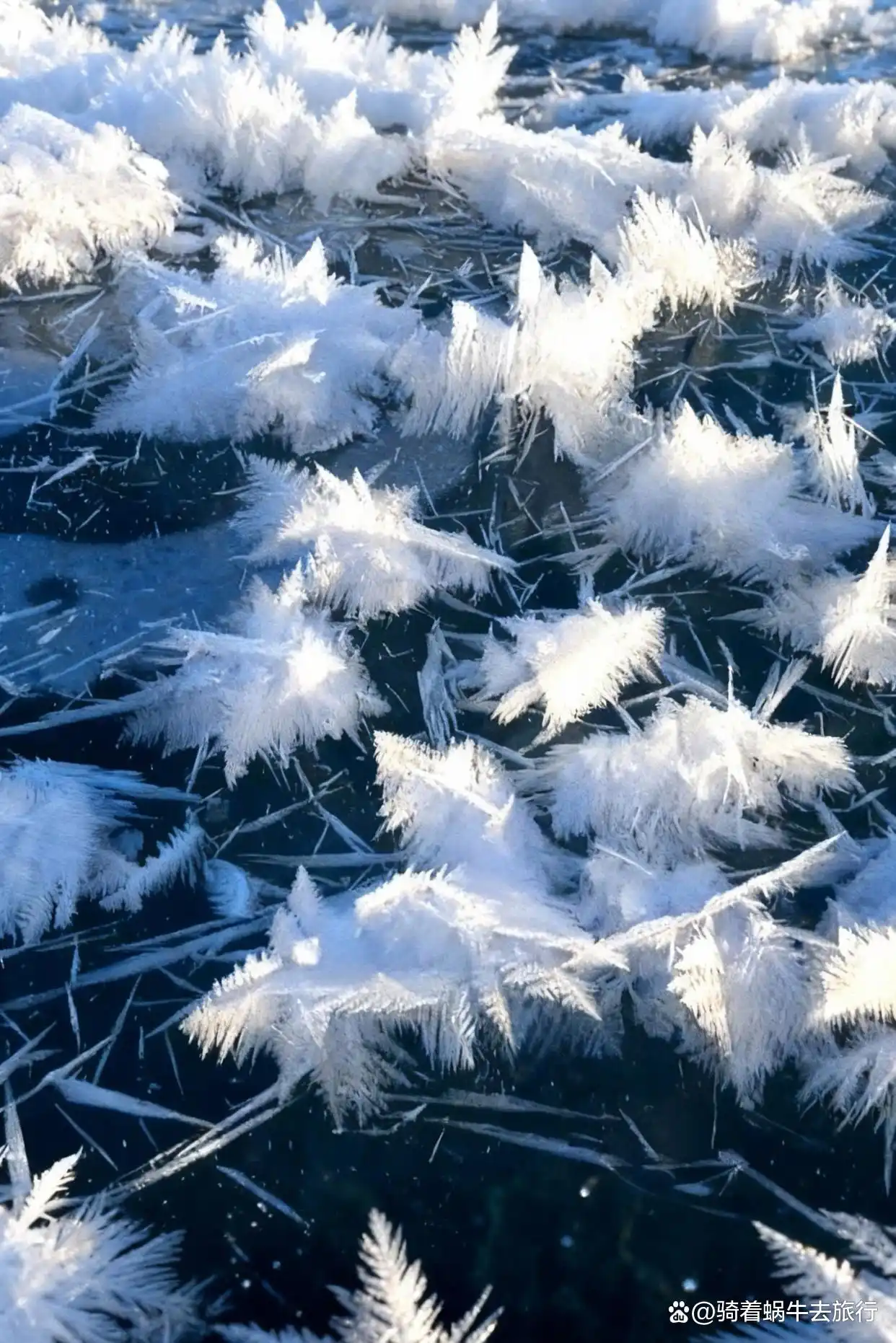 冬天的赛里木湖直接封神！