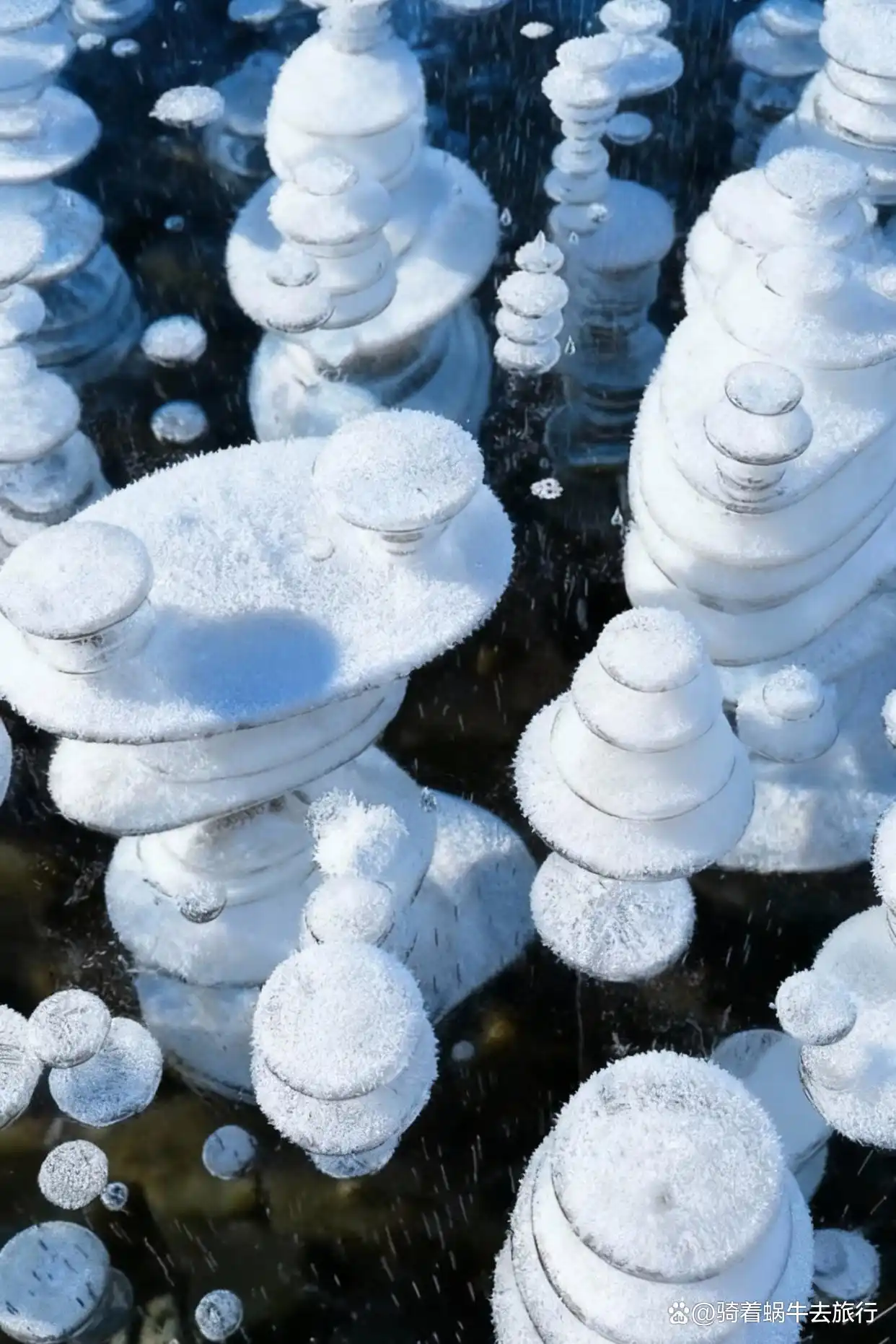 冬天的赛里木湖直接封神！