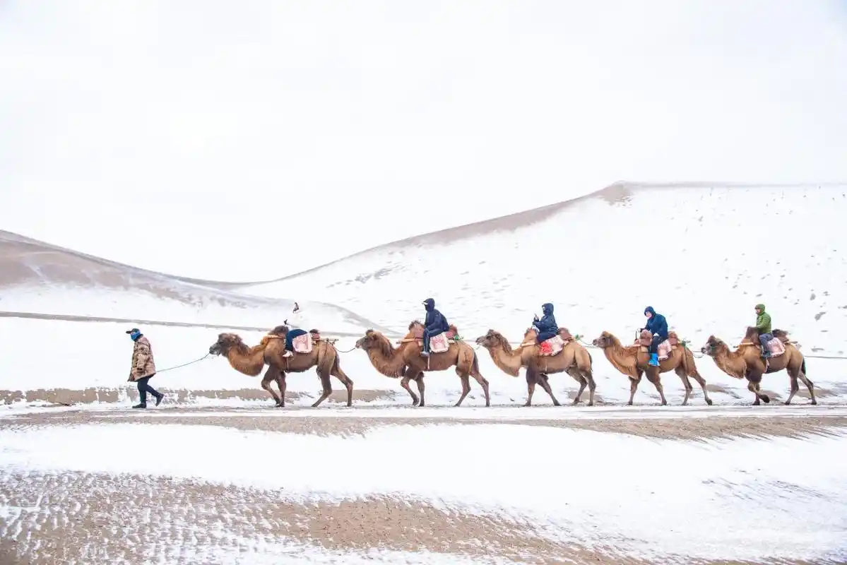 甘肃敦煌：雪落大漠景如画
