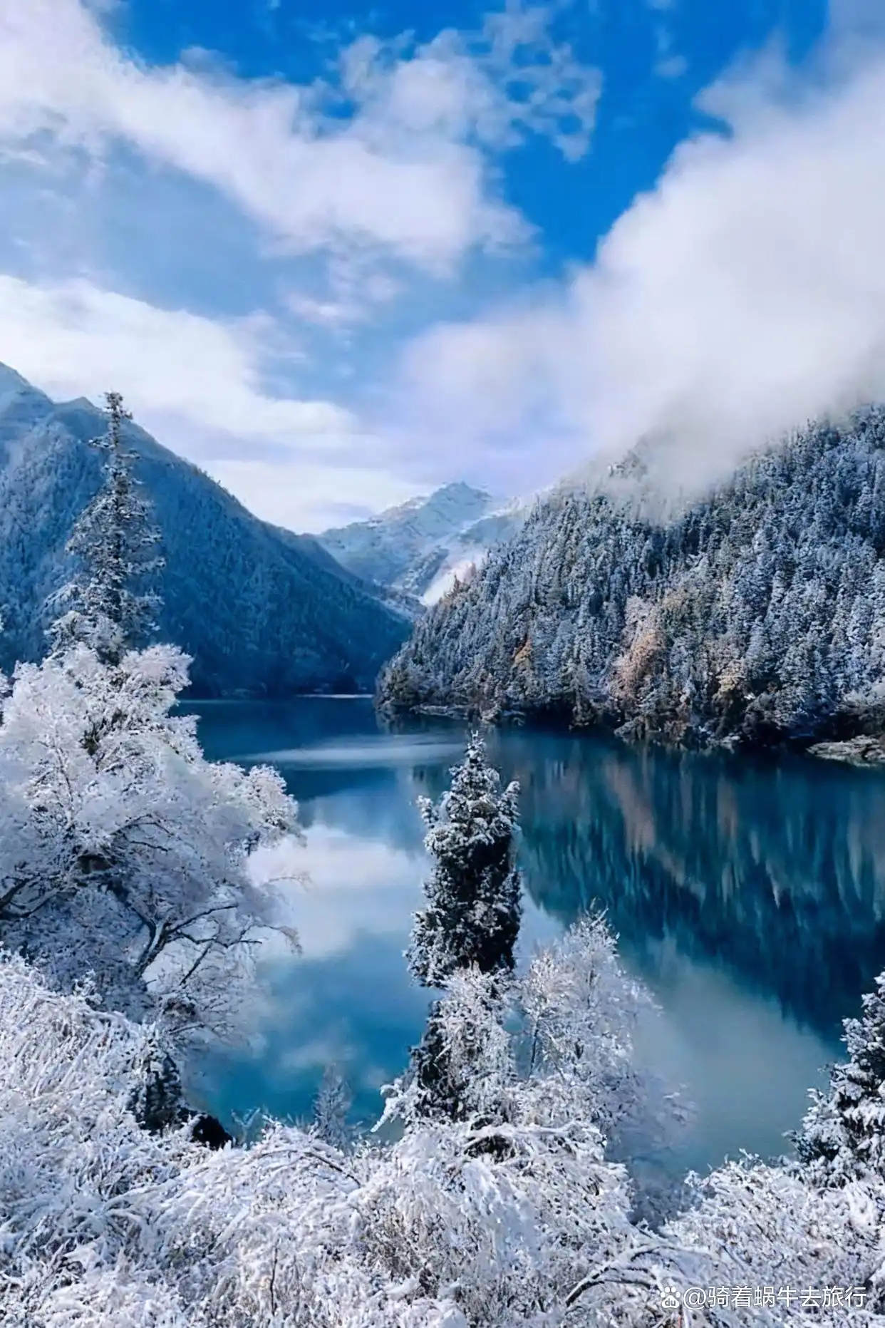 冬天的九寨沟️，真心劝退不了一点！