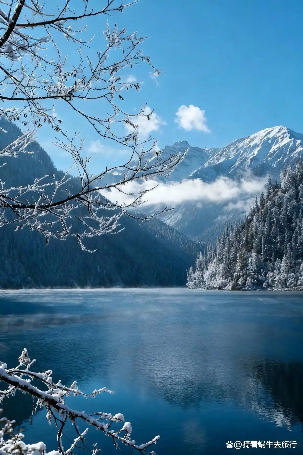 冬天的九寨沟️，真心劝退不了一点！