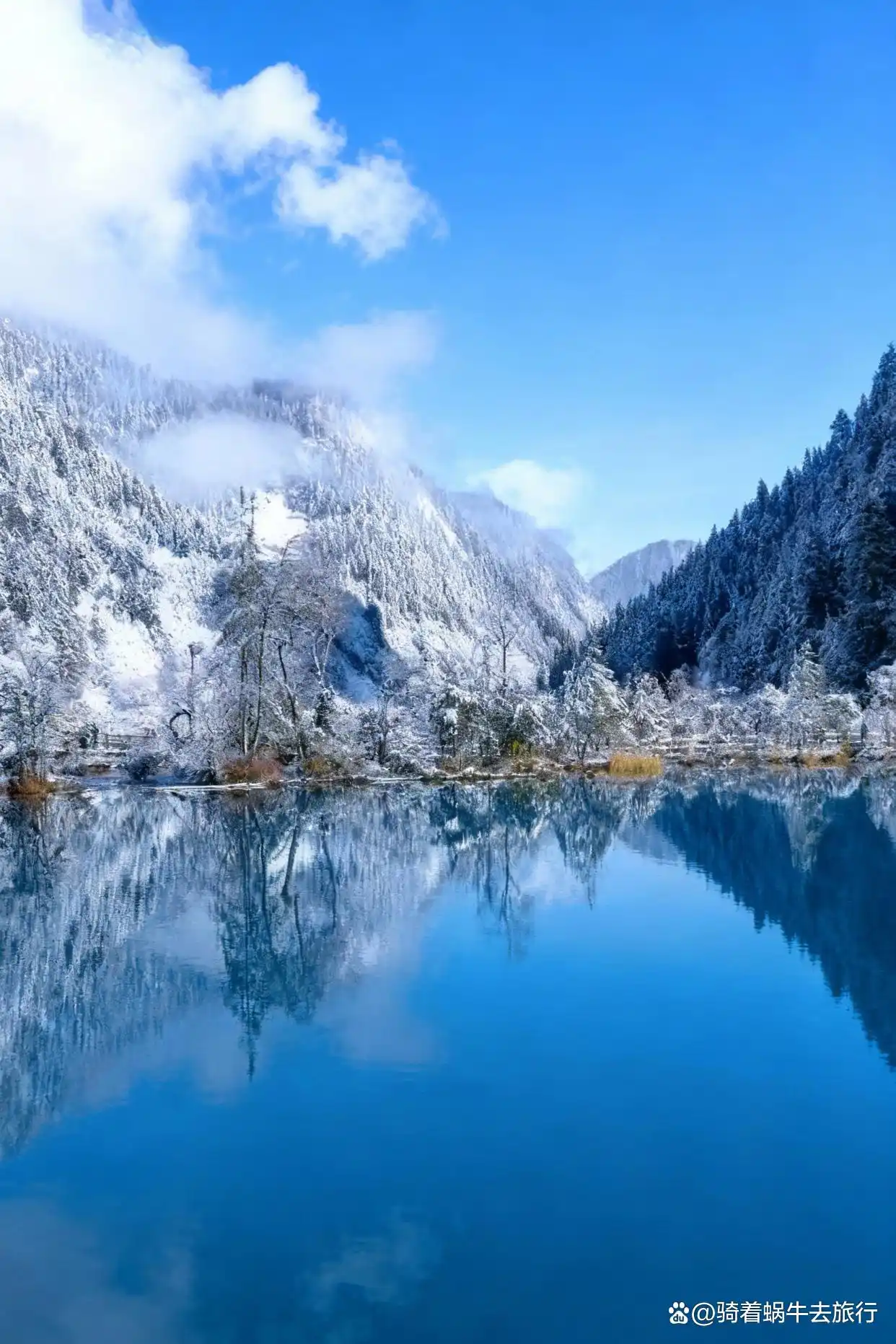 冬天的九寨沟️，真心劝退不了一点！
