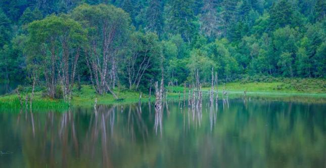 享受自由的旅途，国内最美的7条自驾游路线，即刻出发