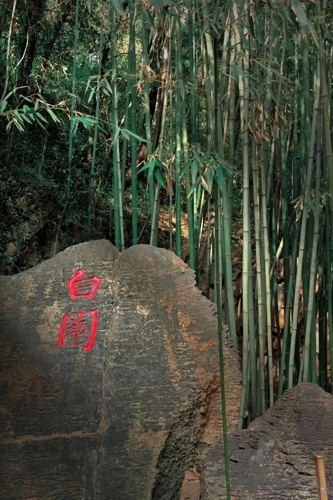 龙门石窟的造像为什么西山比东山多？