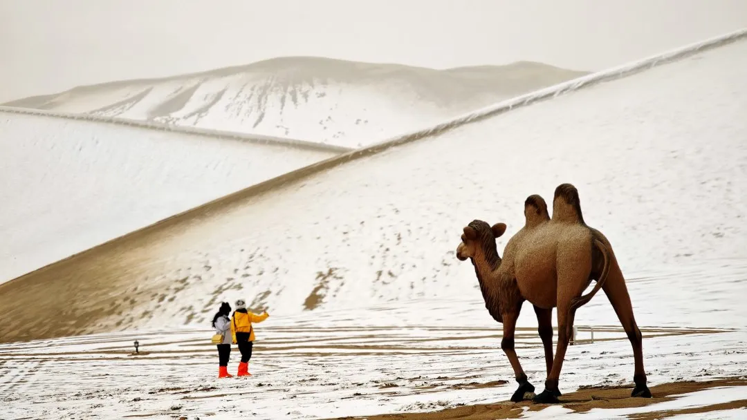 鸣沙山月牙泉迎来初雪！沙与雪的秘境私语，美到心醉