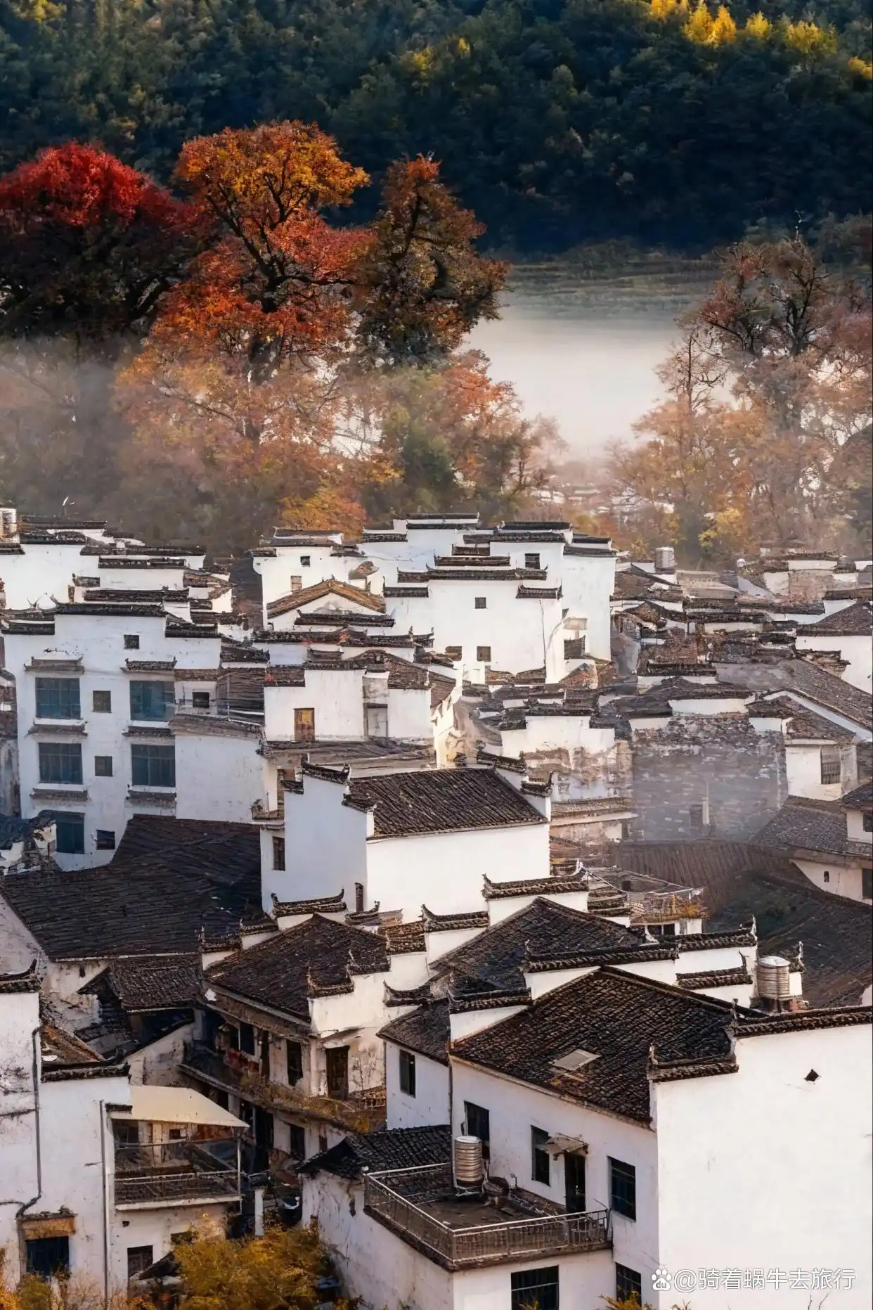 被《国家地理》评为国内最美的秋天有多绝！