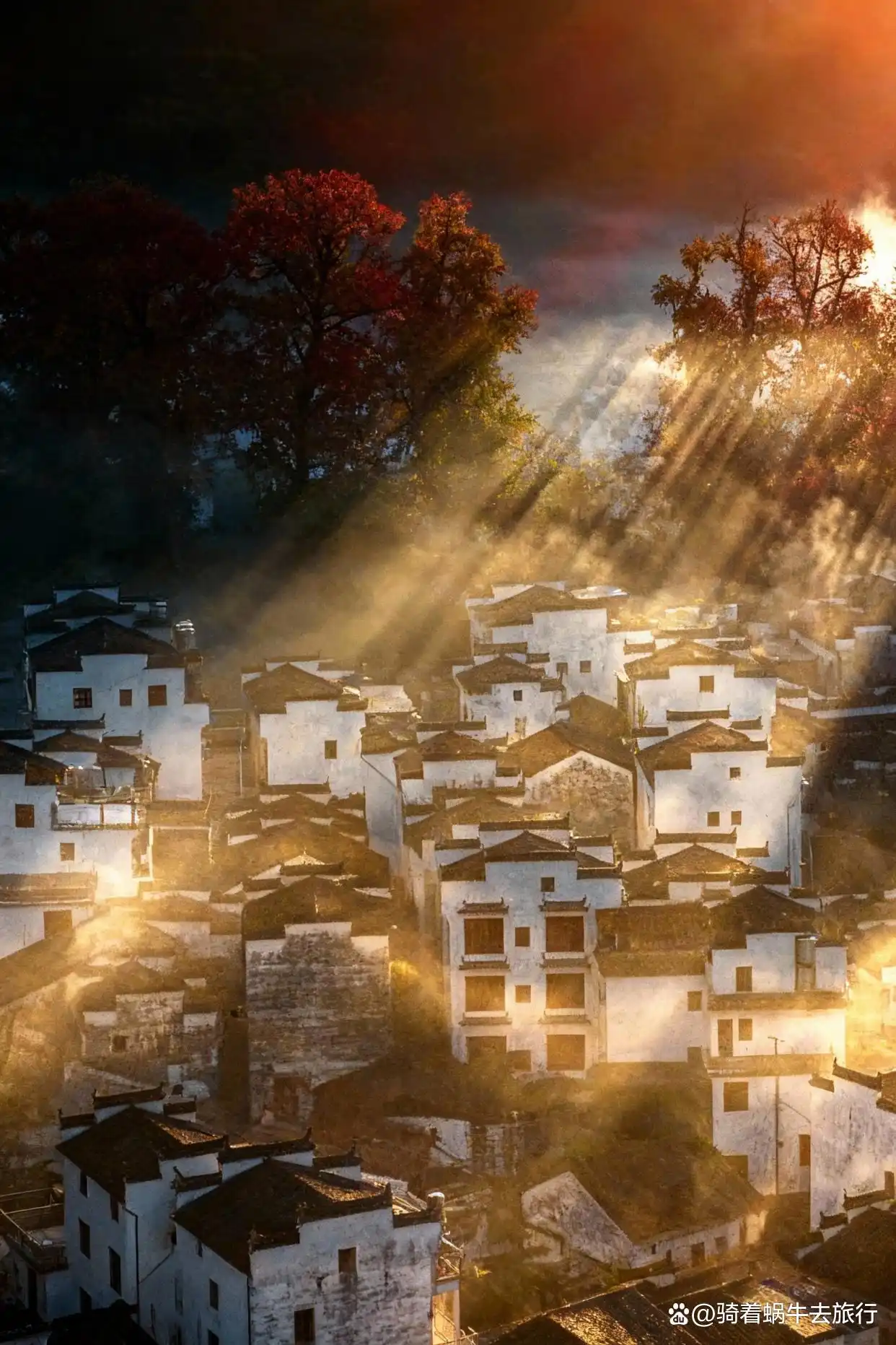 被《国家地理》评为国内最美的秋天有多绝！