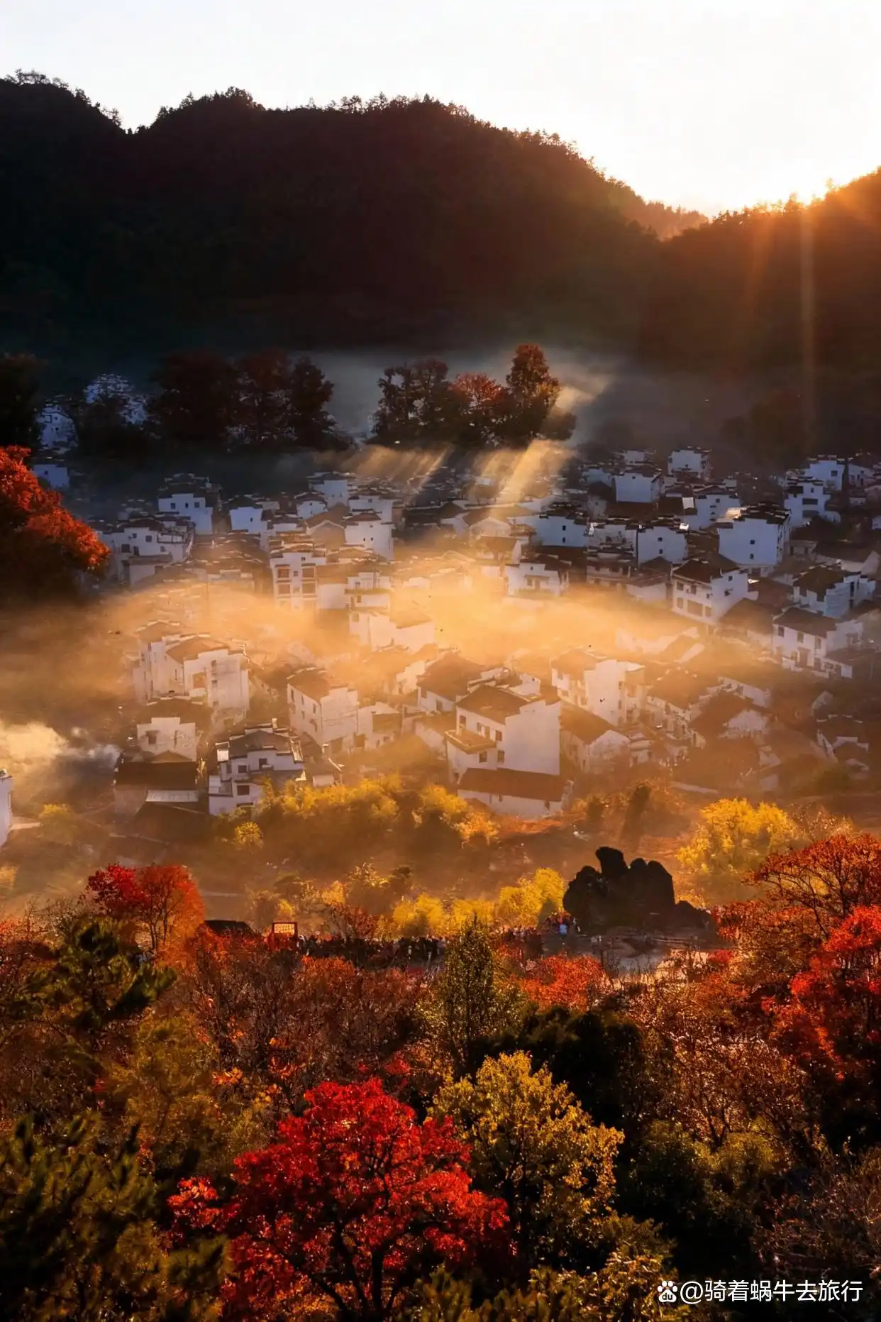 被《国家地理》评为国内最美的秋天有多绝！