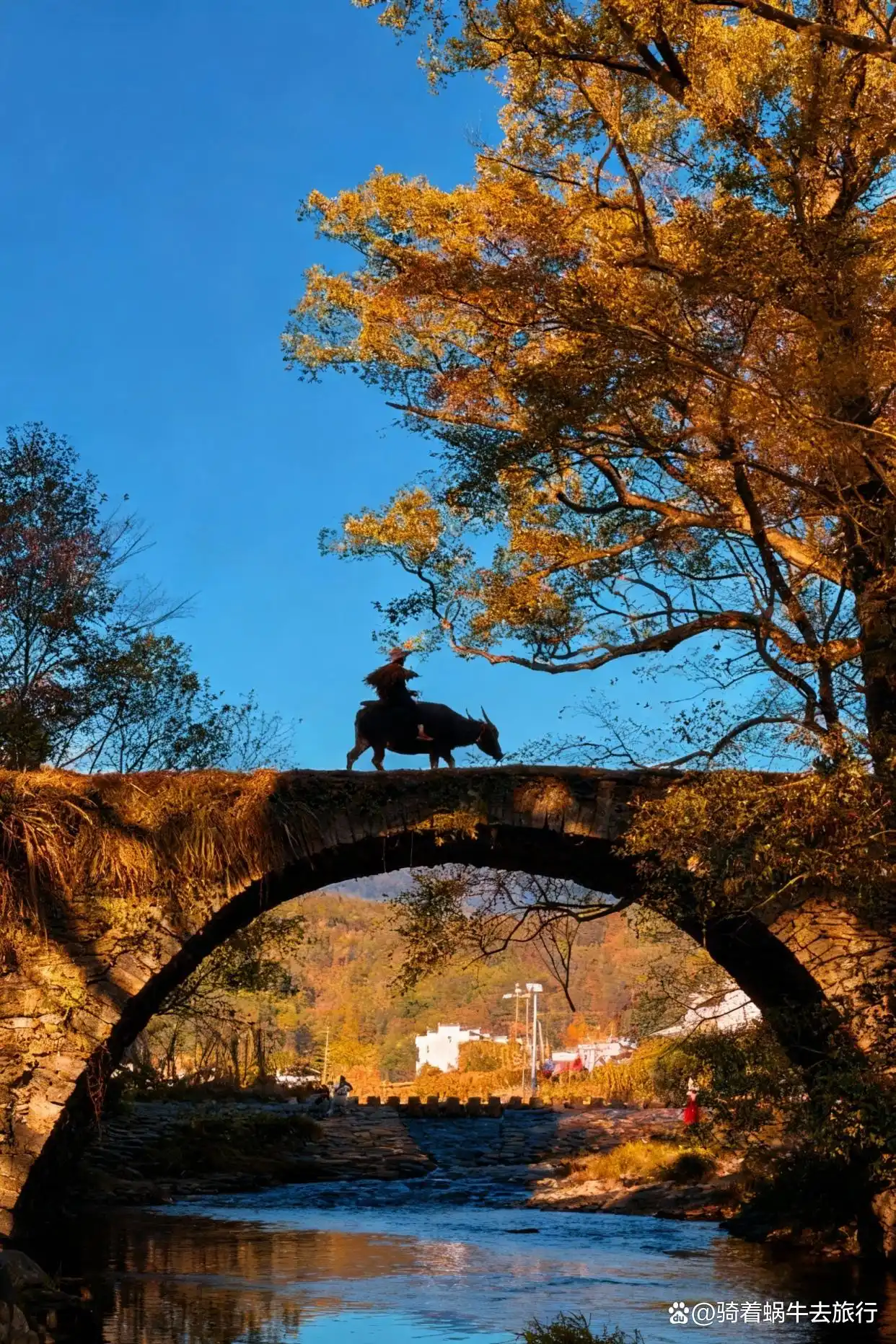 被《国家地理》评为国内最美的秋天有多绝！