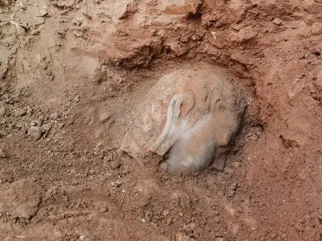 龙门石窟洞窟墙壁内首次发现石刻造像