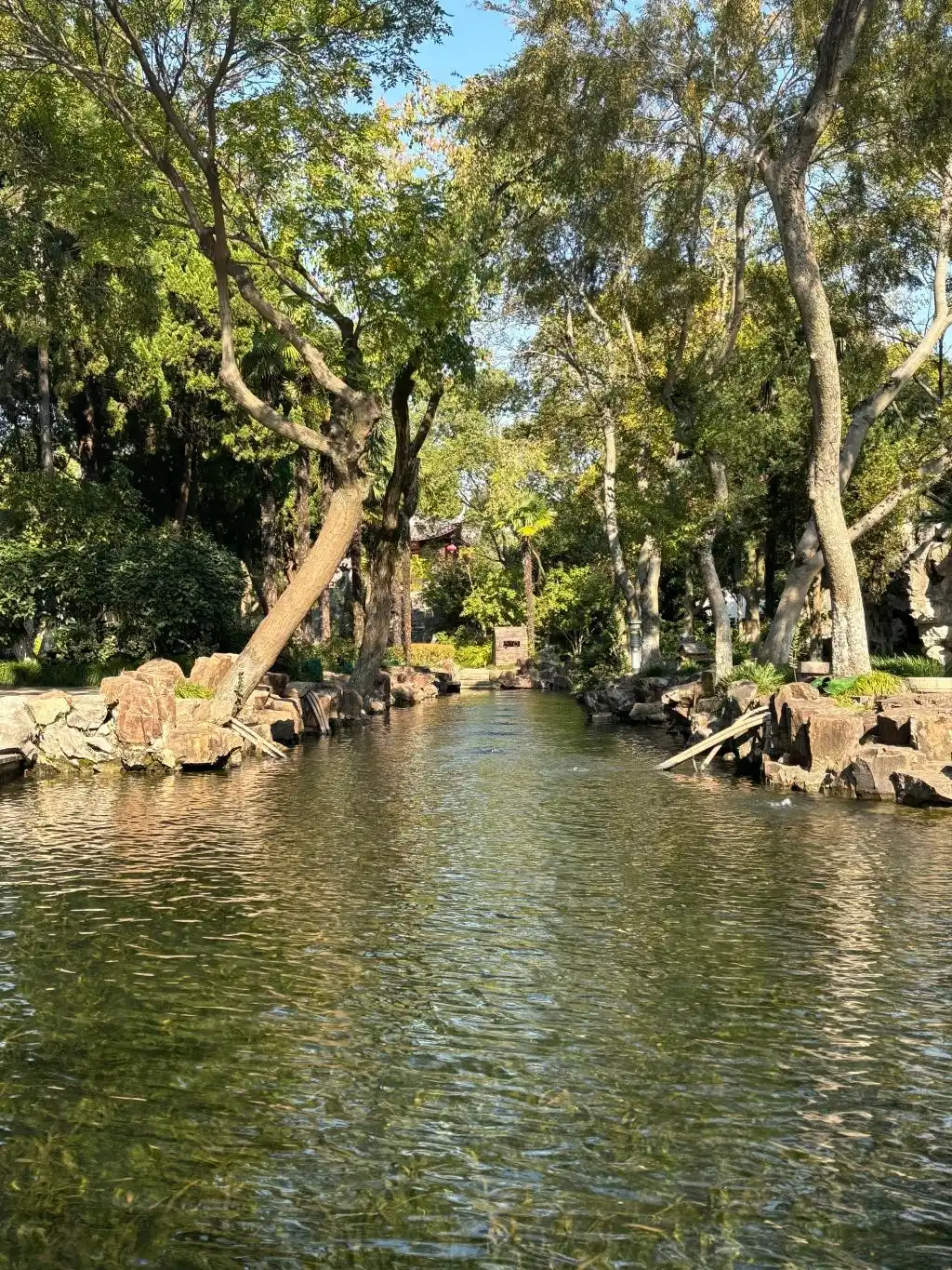 今年前十月上海入境游同比增长近4成，各区暗自铆劲“上新”文旅供给