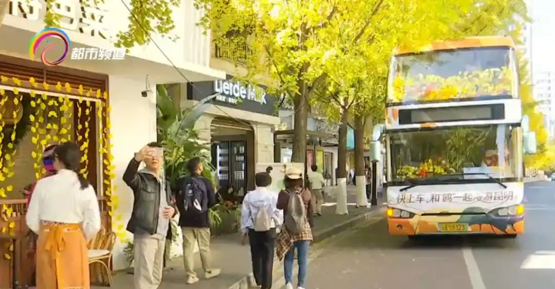 昆明冬日限定浪漫！坐着双层巴士赏银杏、观红嘴鸥，还能经过这些著名景点→