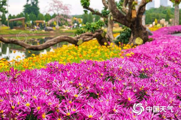 强冷空气将至！明后天广西迎大风降温 局地气温降幅可超8℃
