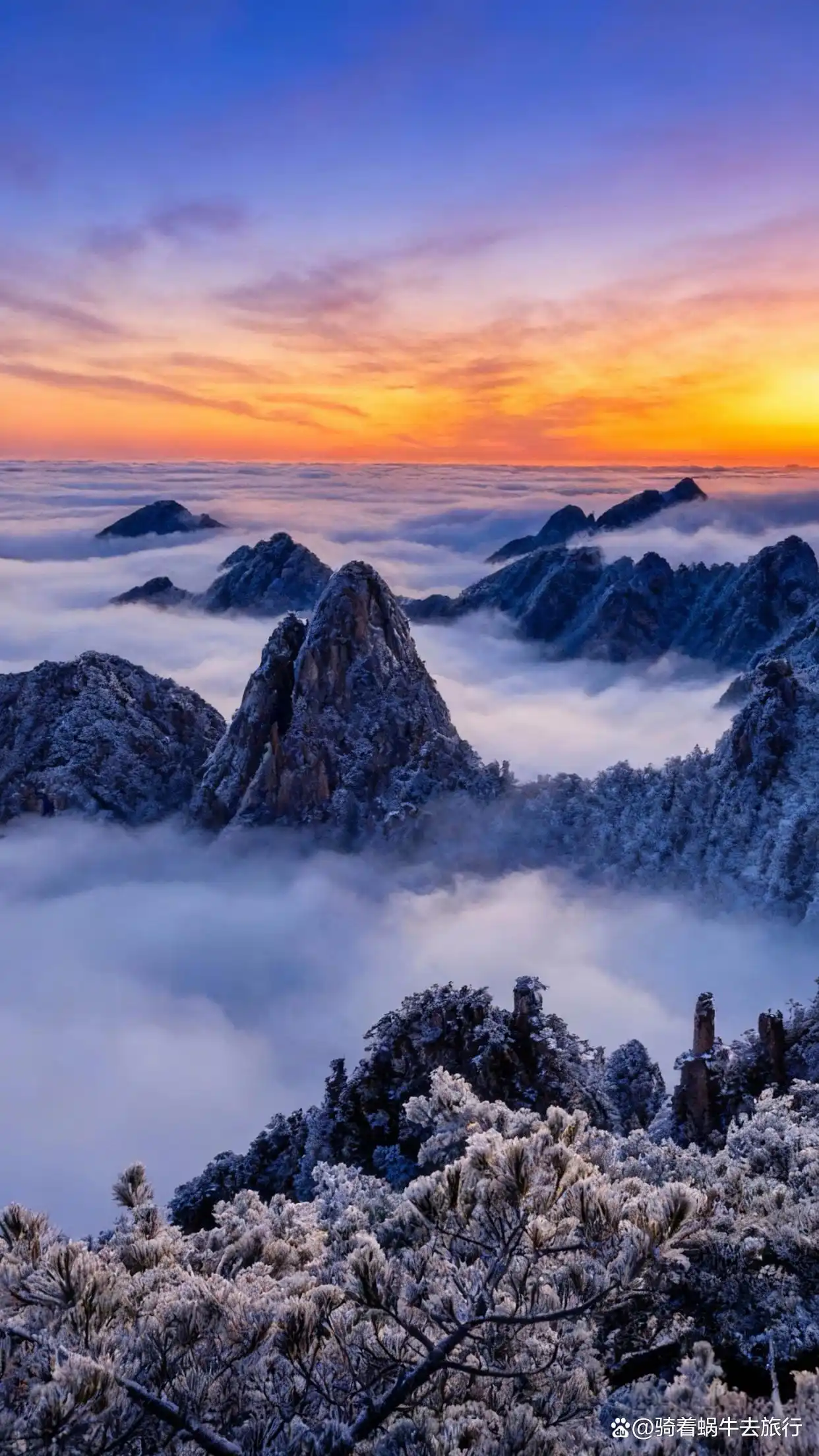 答应我，冬天一定要去黄山看雾凇和云海！