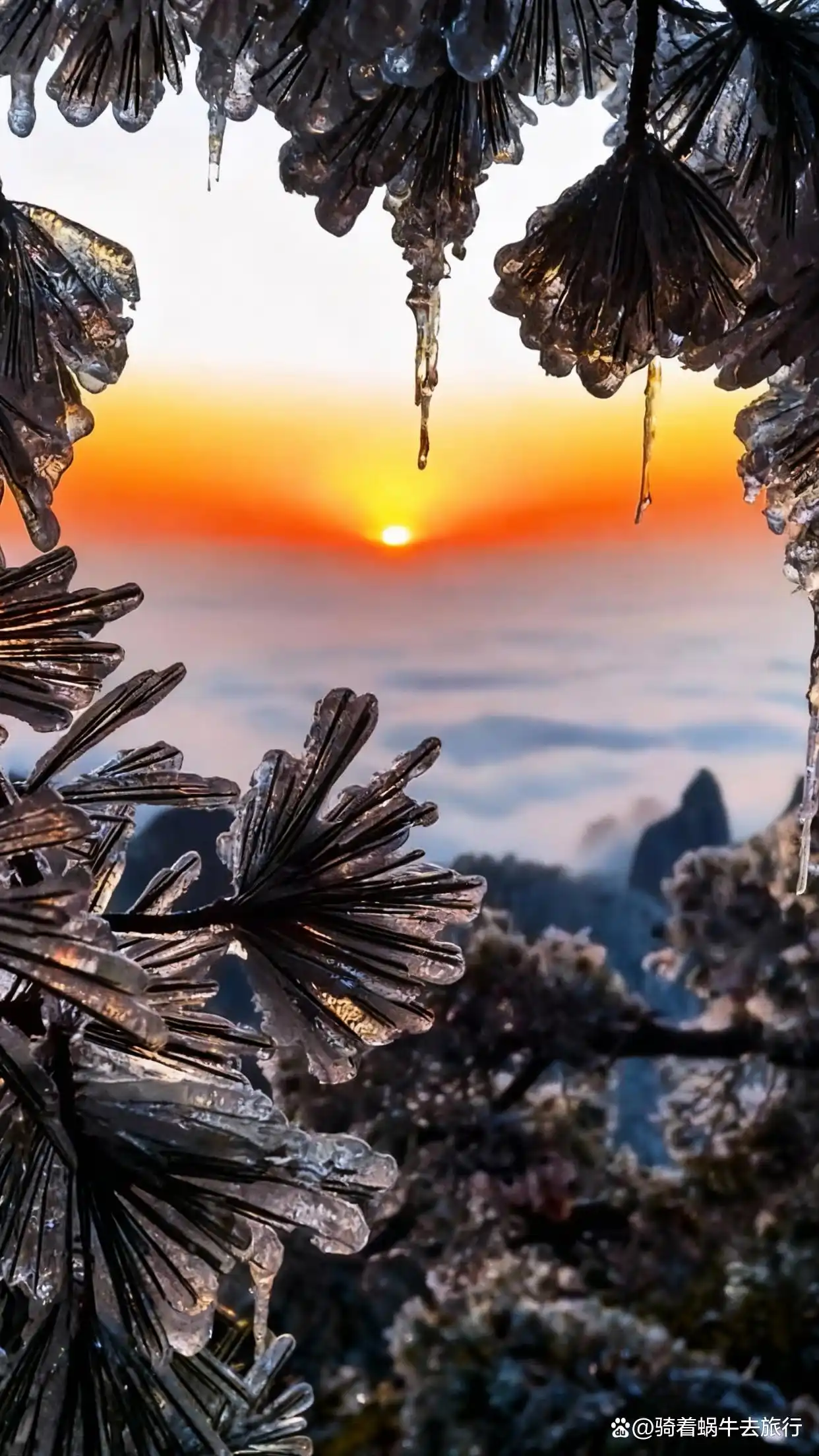 答应我，冬天一定要去黄山看雾凇和云海！