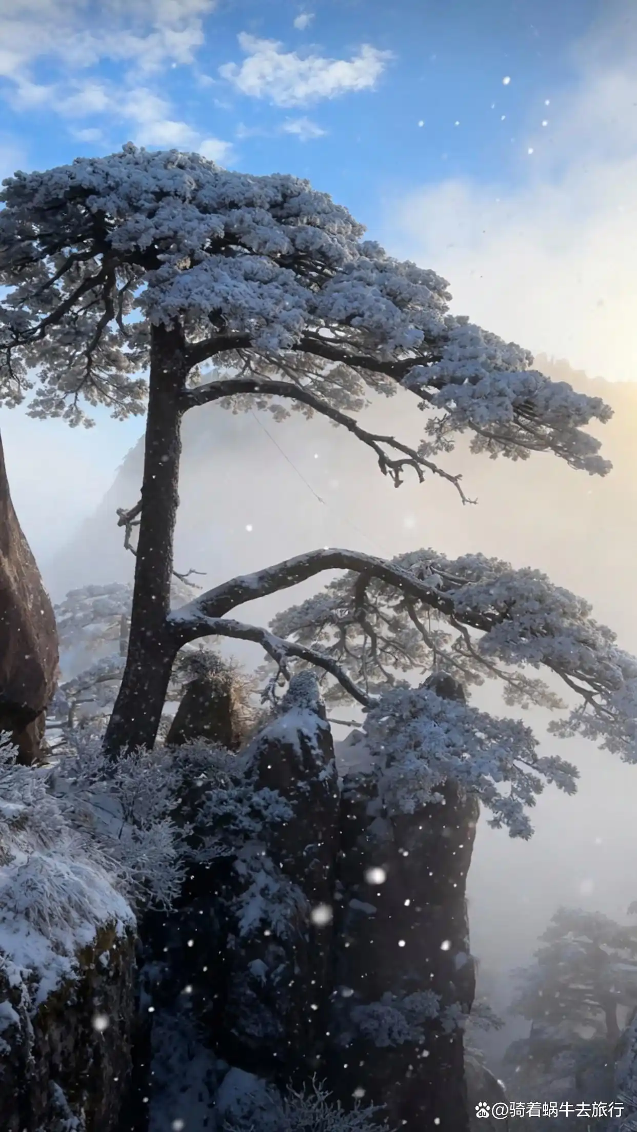 答应我，冬天一定要去黄山看雾凇和云海！